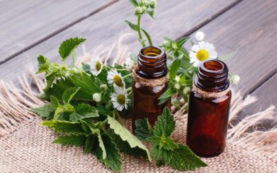 Selbstgemachte Tinktur für starkes Immunsystem