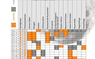 Mondkalender Juni 2024