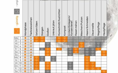 Mondkalender Juli 2024