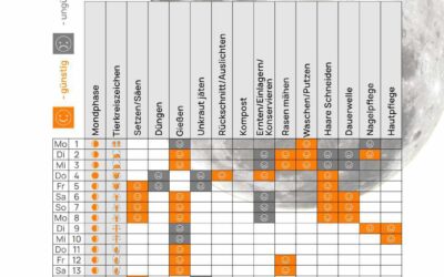 Mondkalender August 2024
