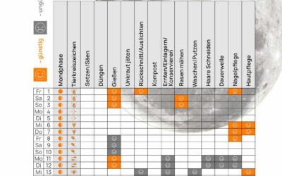 Mondkalender November 2024