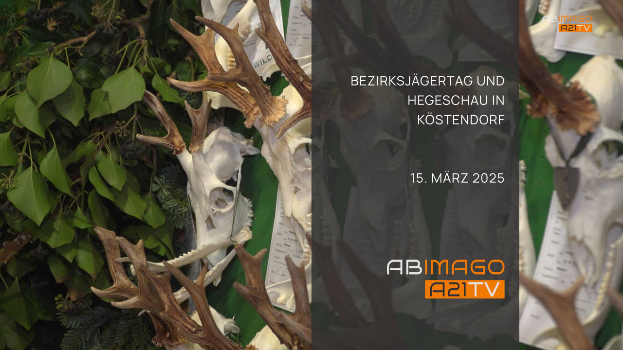 Bezirkshegeschau Köstendorf