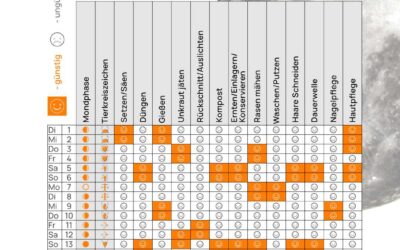 Mondkalender Juli 2025