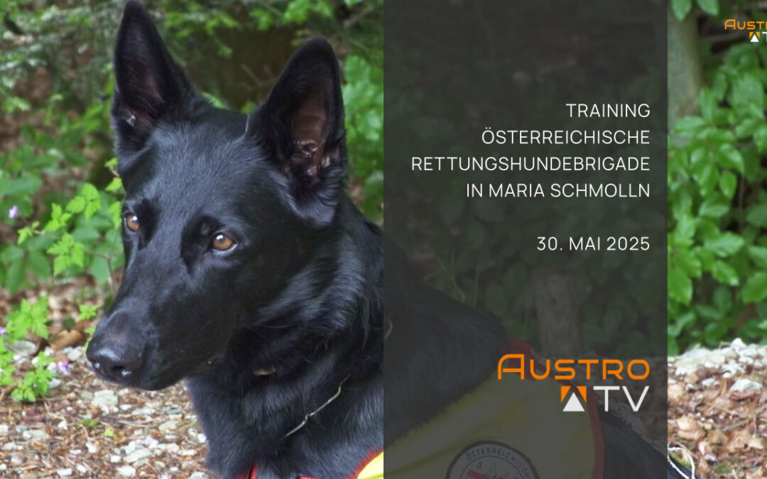 Rettungshundebrigade Maria Schmolln