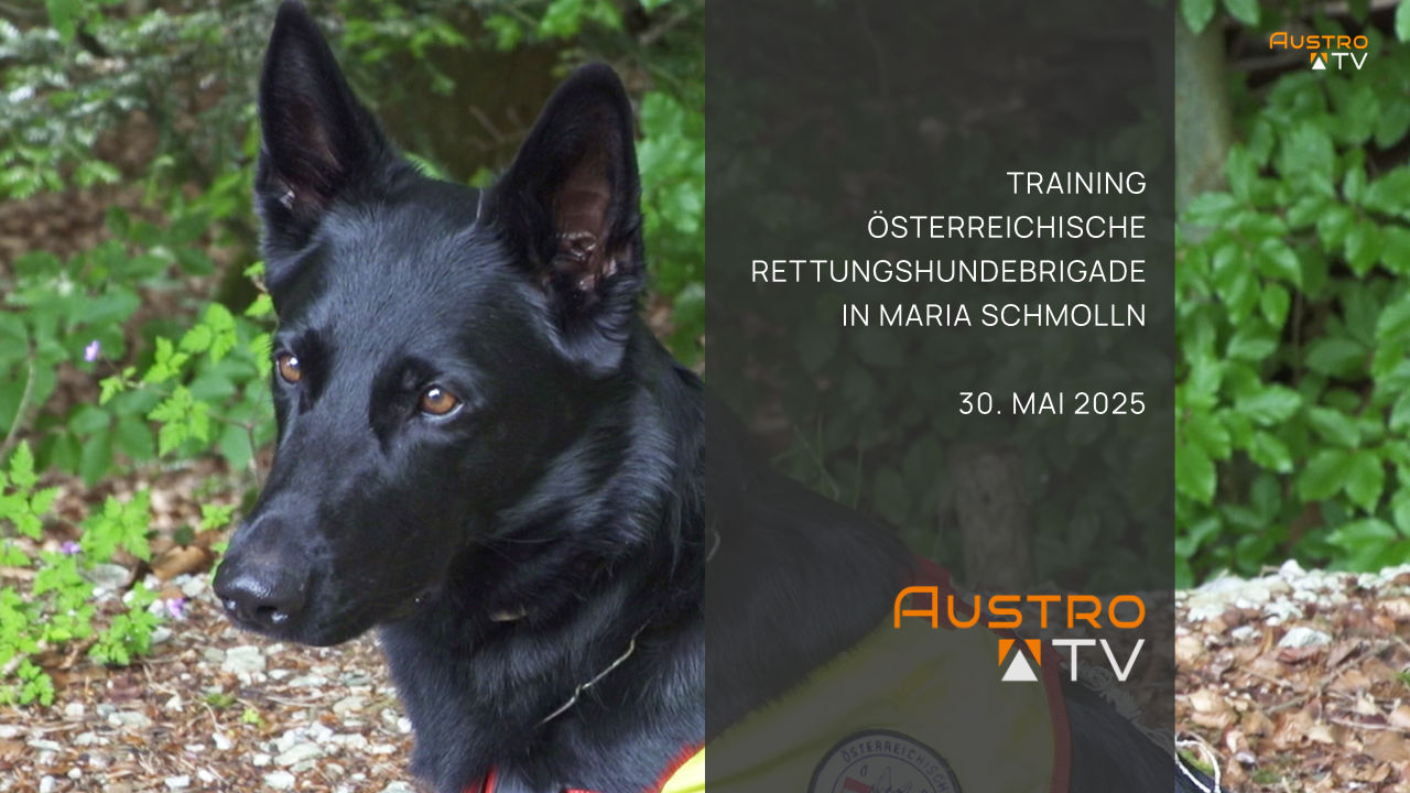 Rettungshundebrigade Maria Schmolln