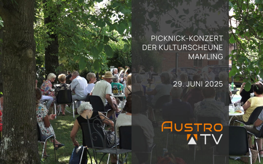 Picknick-Konzert mit Wirtshaus Blech in Mamling