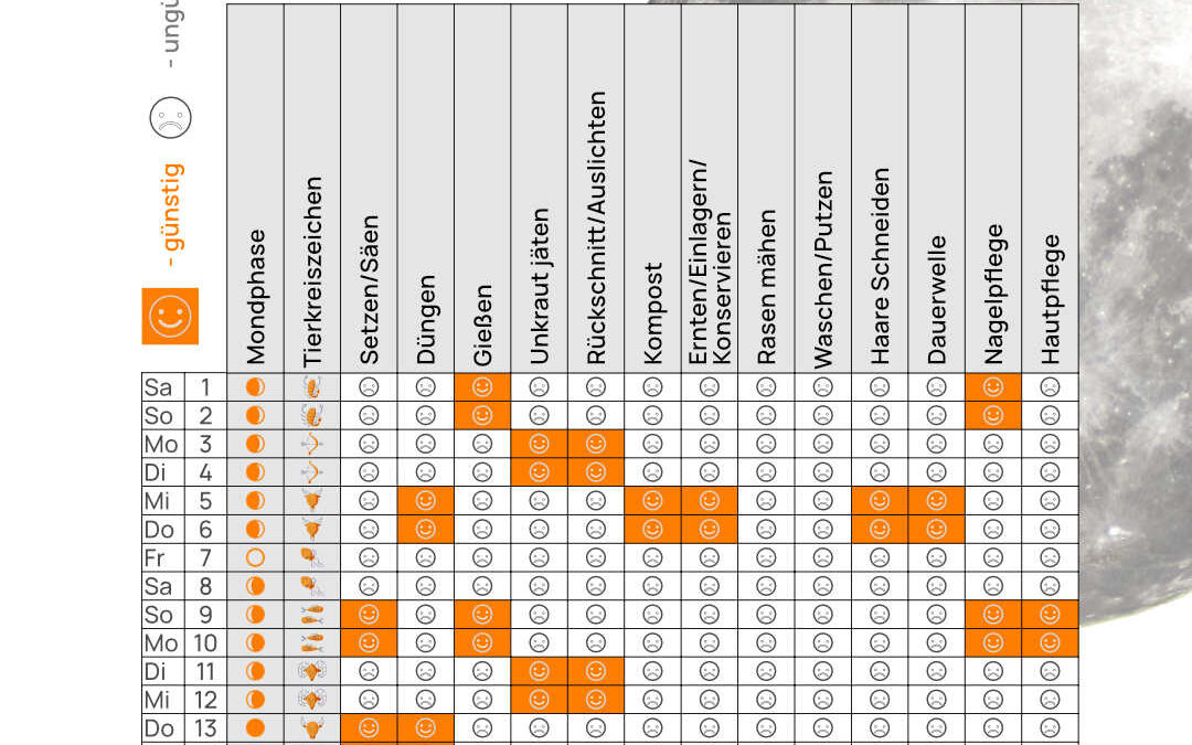 Mondkalender November 2025