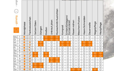 Mondkalender Dezember 2025