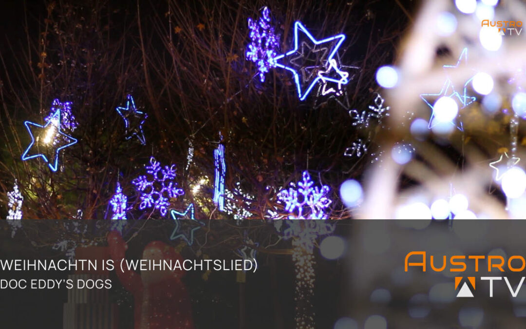Weihnachtn is – Doc Eddy’s Dogs