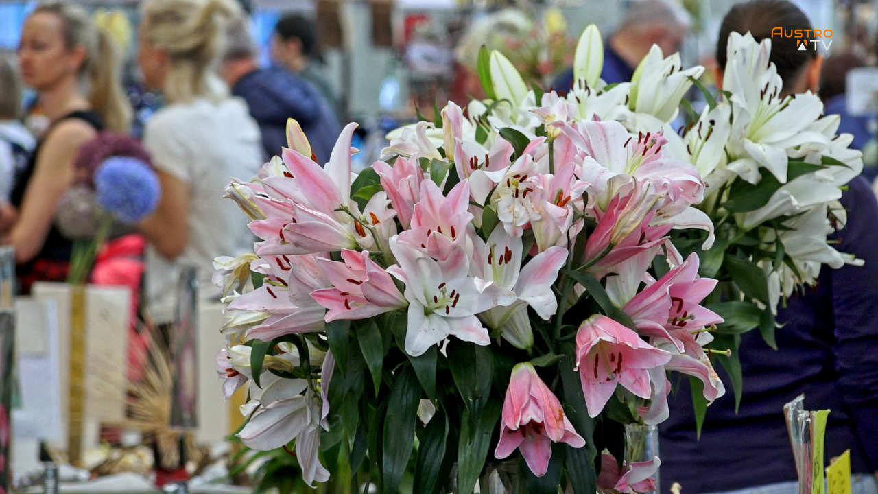 Gartenmesse Salzburg 2026