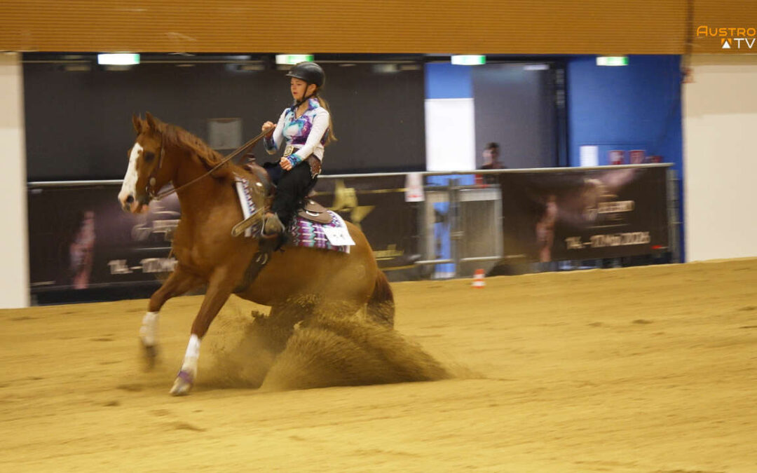 Pferdemesse Wels 2026 begeisterte mit Shows, Trends und Pferdesport