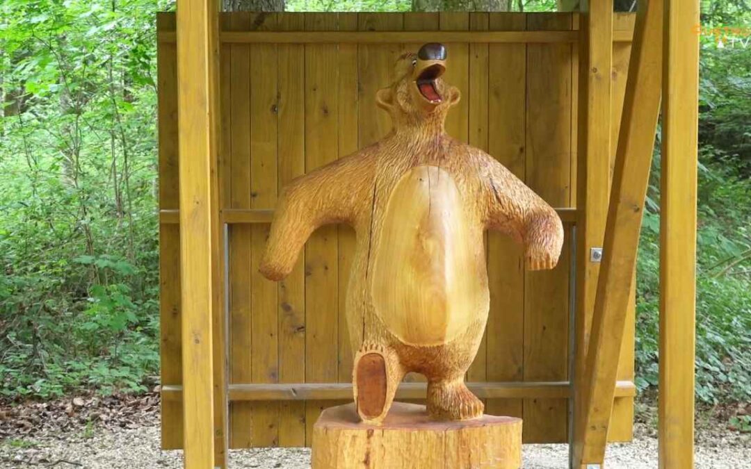 Waldlehrpfad Schwarzgraben in Mattighofen feierlich wiedereröffnet