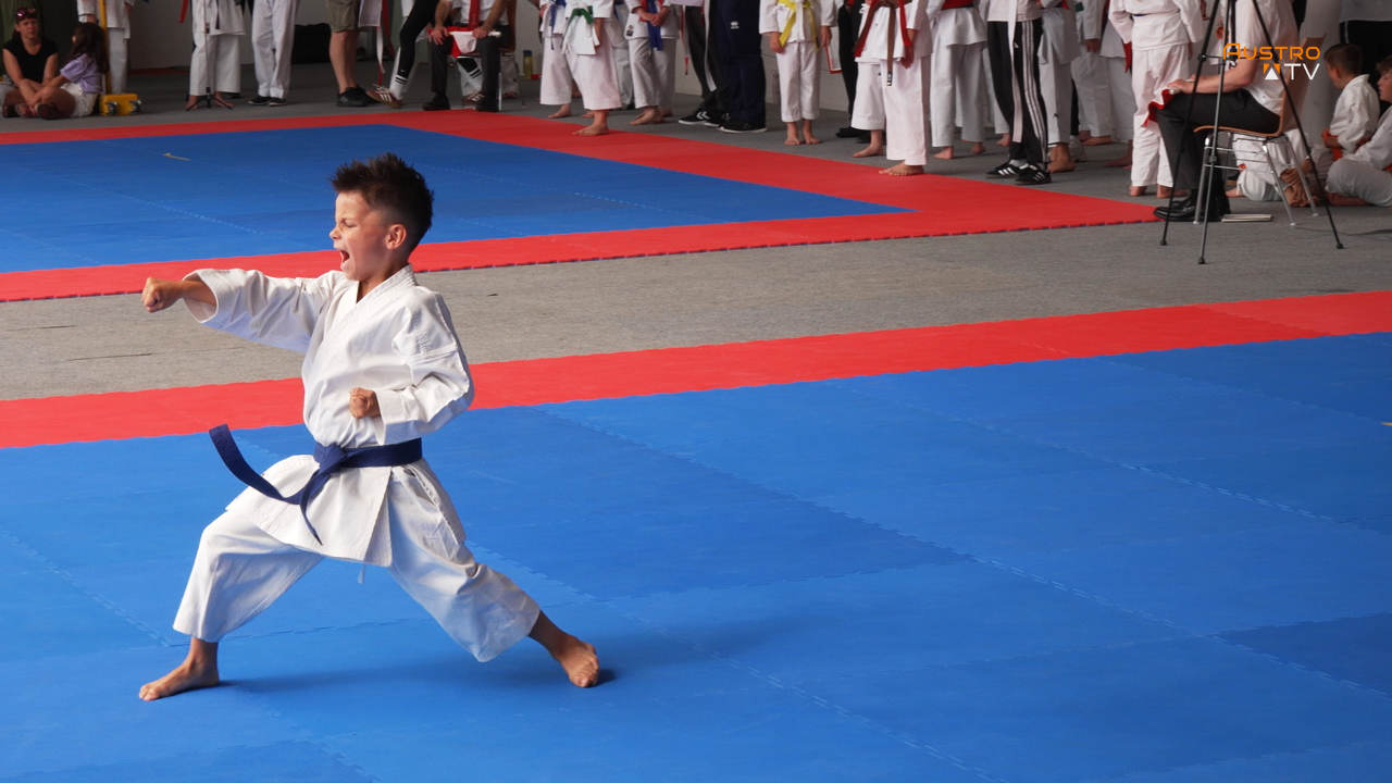 Austrian International Shotokan Championship 2026 in St. Georgen im Attergau