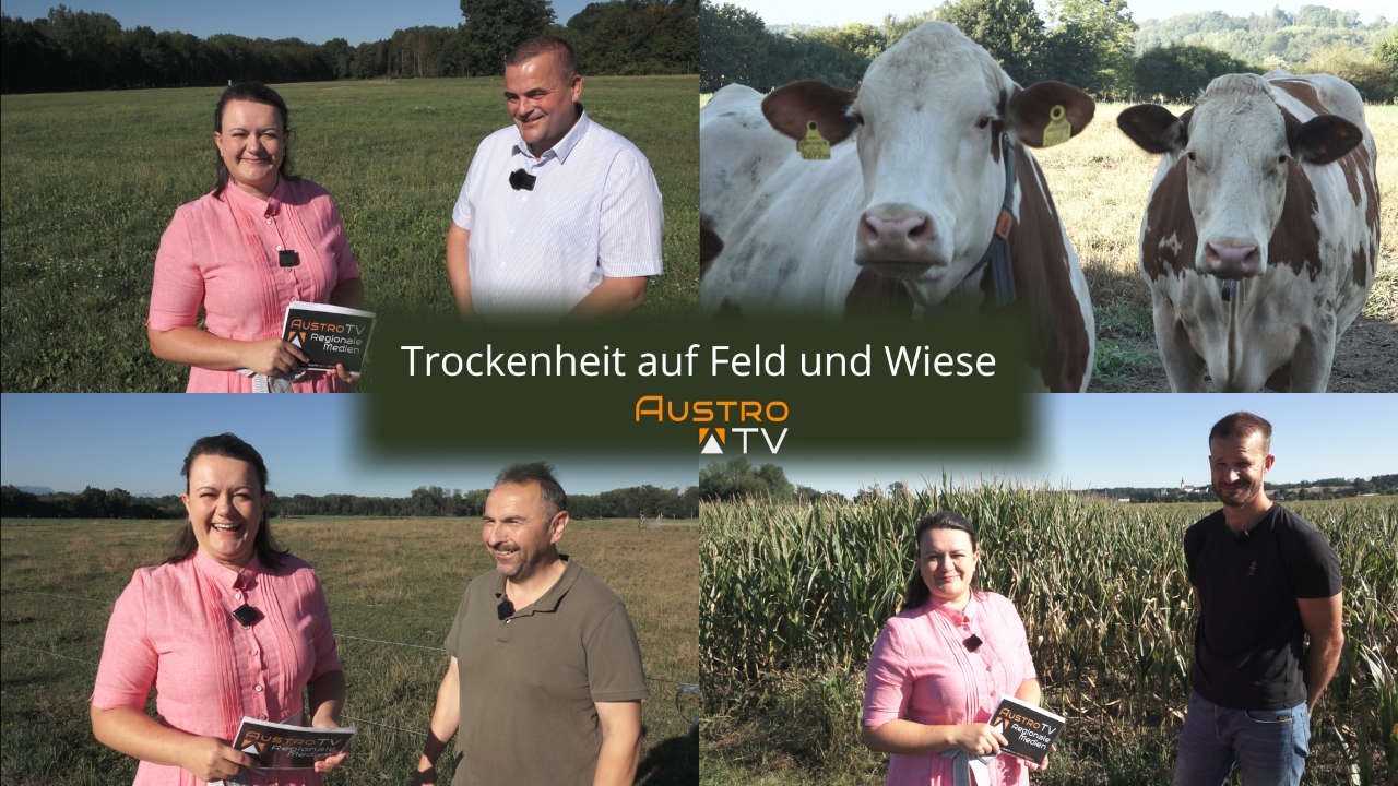 Trockenheit auf Feld und Wiese