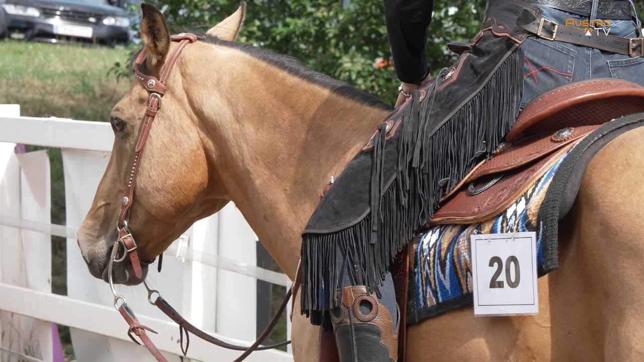 Westernreiten in Oberhofen 2026