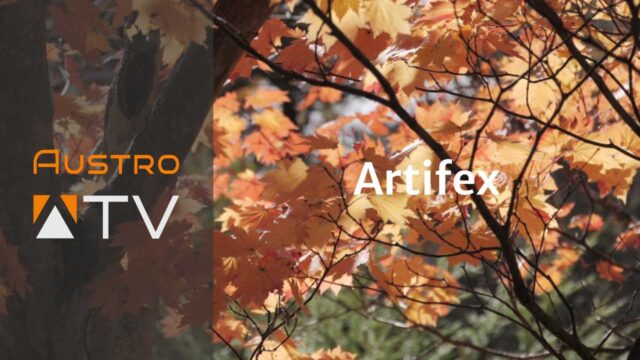 Trenner Herbst Artifex