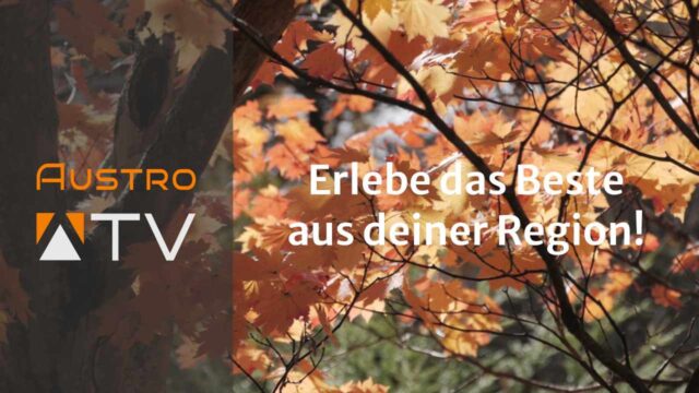 Trenner Herbst Erlebe das Beste